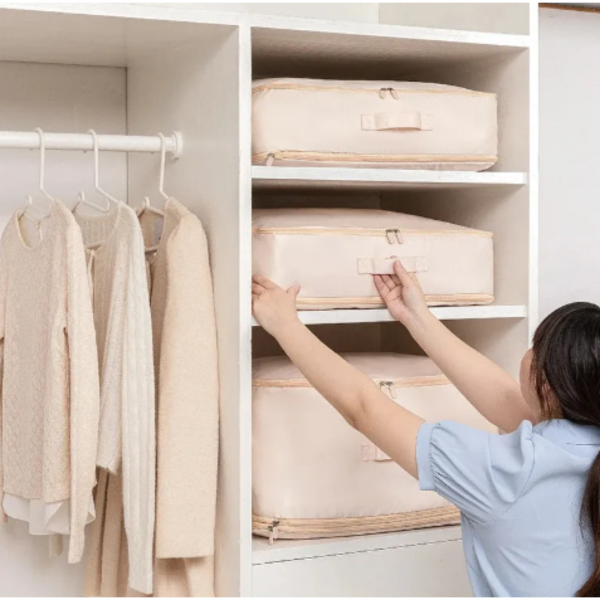 STORAGEBAG – Skládací taška s organizérem skříně slider