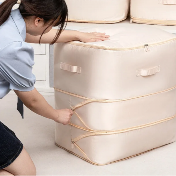 STORAGEBAG – Skládací taška s organizérem skříně slider